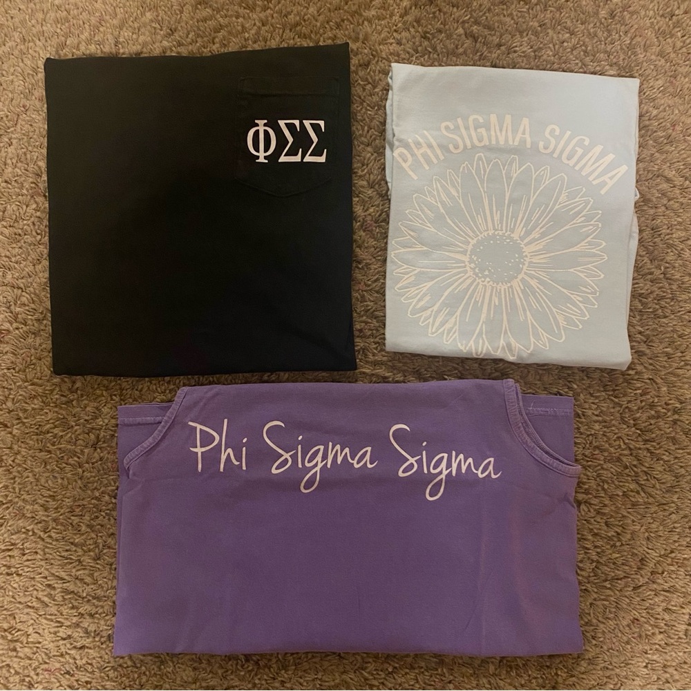 Phi Sigma Sigma Bundle - image 1